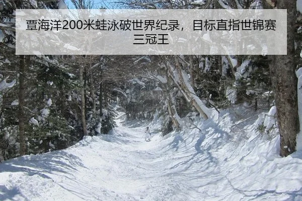 tan-hai-yang-mi-wa-yong-po-shi-jie-ji-lu-mu-biao-zhi-zhi-shi-jin-sai-san-guan-wang-2-863.jpg
