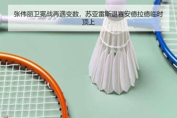 zhang-wei-li-wei-mian-zhan-zai-yu-bian-shu-su-ya-lei-si-tui-sai-an-de-la-de-lin-shi-ding-shang-2-246.jpg